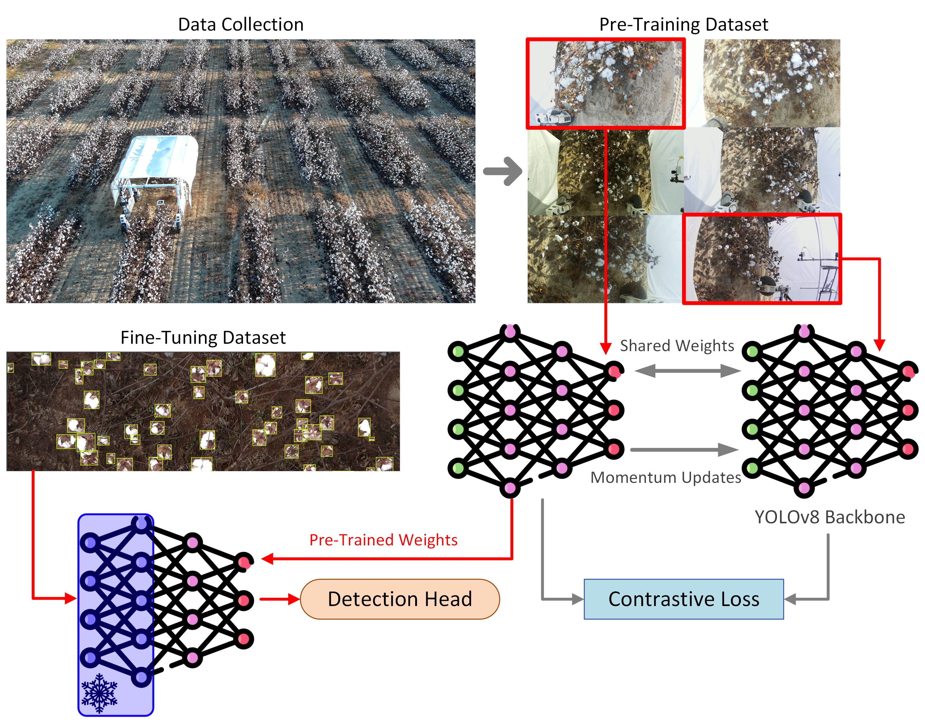 Diagram showing the overall pipeline of an SSL approach.